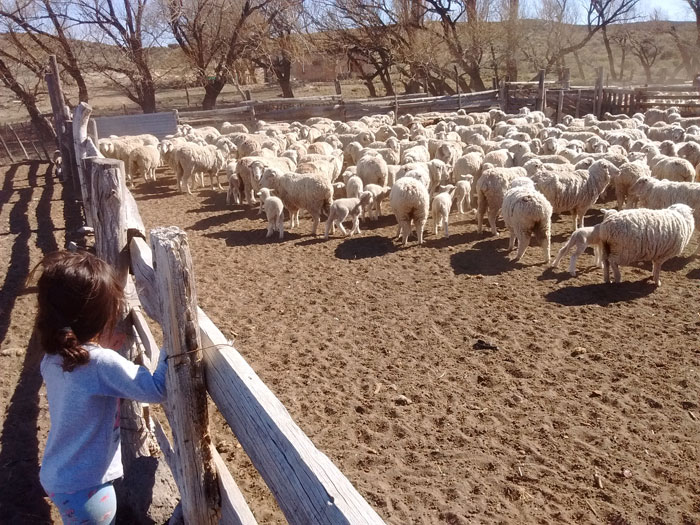 agricultura-familiar-campesina-indigena_2