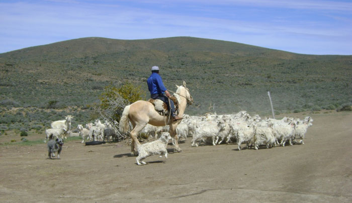 agricultura-familiar-campesina-indigena_4