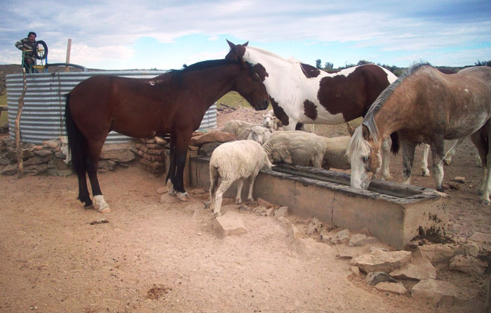 agricultura-familiar-campesina-indigena_9